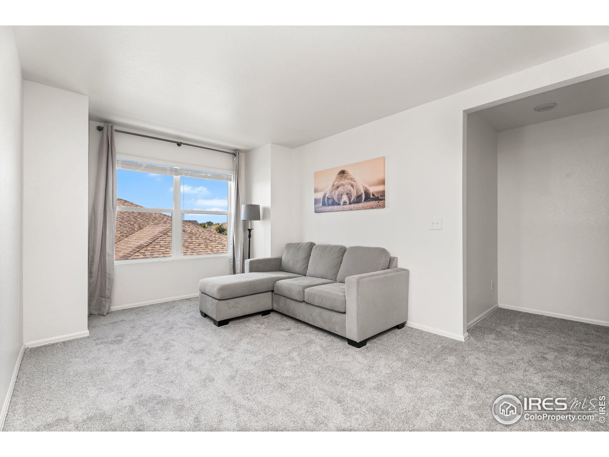 503 Buckrake Street Severance, CO 80550 - Photo 21 of 40