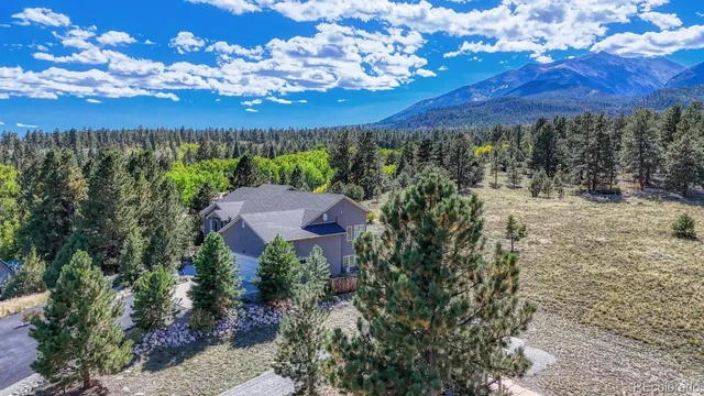 a view of a lot of trees and sunset