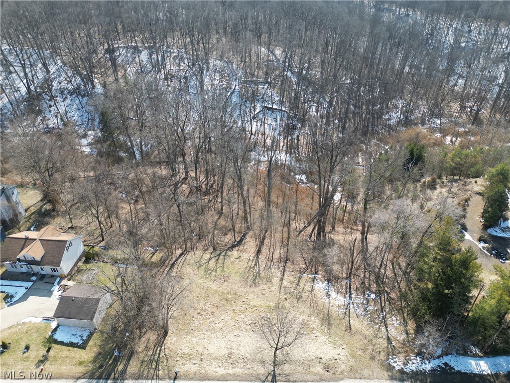 6579 Hathaway Road Valley View, OH 44125 - Photo 3 of 10