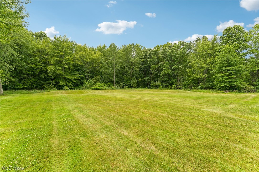 8874 Sharp Road Olmsted Falls, OH 44138 - Photo 38 of 42 Expansive green lawn surrounded by mature deciduous trees