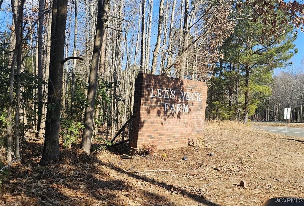 5.3-ac Lees Neck Farm Road Saluda, VA 23149 - Photo 2 of 8