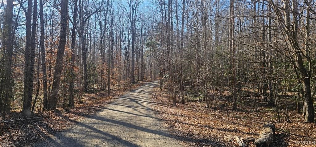 5.3-ac Lees Neck Farm Road Saluda, VA 23149 - Photo 3 of 8 a view of a backyard with trees
