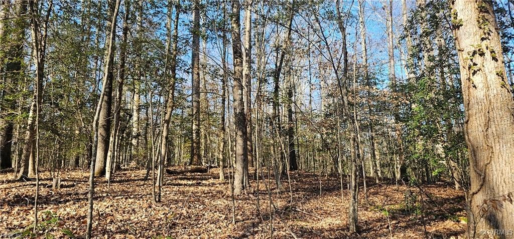 5.3-ac Lees Neck Farm Road Saluda, VA 23149 - Photo 5 of 8