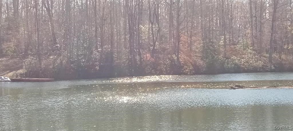5.3-ac Lees Neck Farm Road Saluda, VA 23149 - Photo 6 of 8 a view of a lake view