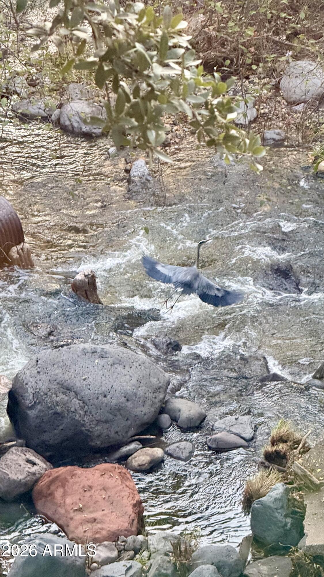 4426 North State Rte 89A, Unit 13 Sedona, AZ 86336 - Photo 9 of 47 a view of a backyard of the house