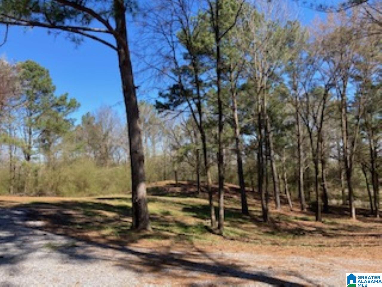 1116 Bailey Springs Road Ohatchee, AL 36271 - Photo 2 of 24