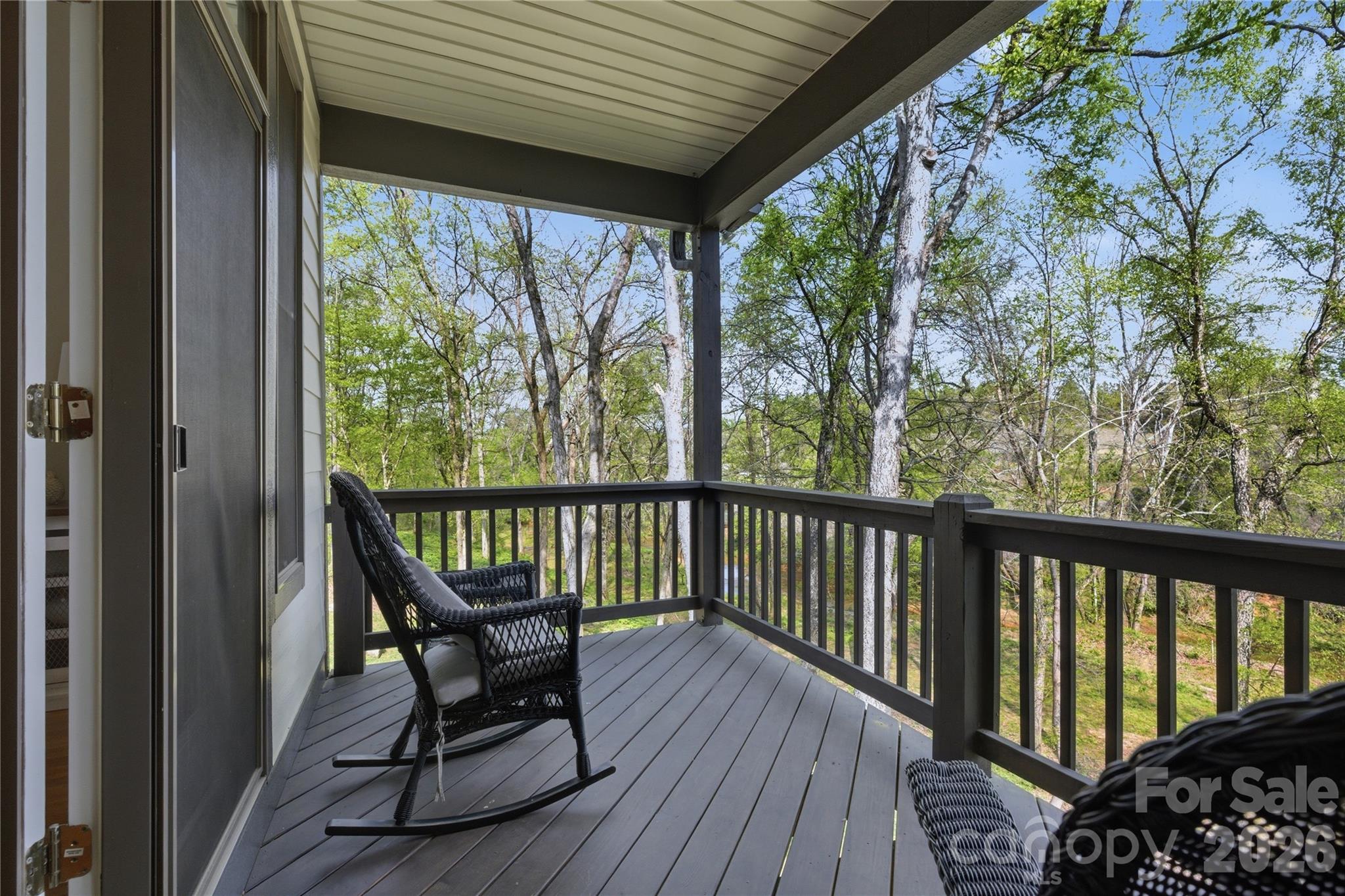 34 West Rambling Creek Tryon, NC 28782 - Photo 32 of 47