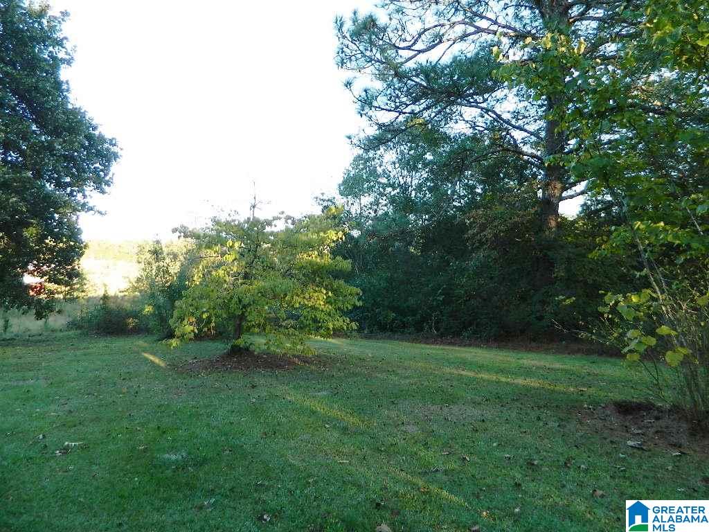 370 Jonesview Road Talladega, AL 35160 - Photo 12 of 13