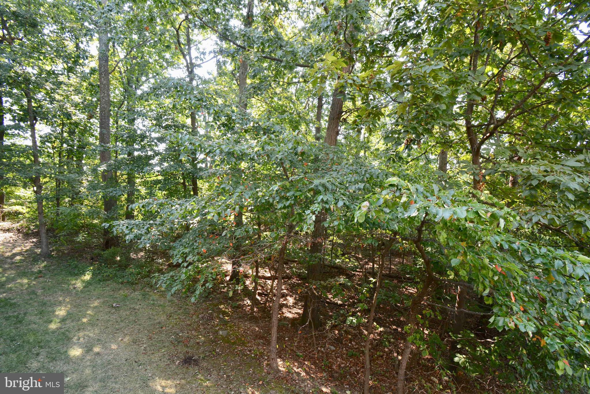 6679 Debra Lu Way Springfield, VA 22150 - Photo 36 of 36 View from the deck.