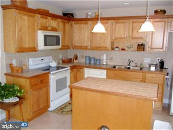 38 Michigan Drive Sinking Spring, PA 19608 - Photo 8 of 25 Gallery Image 8