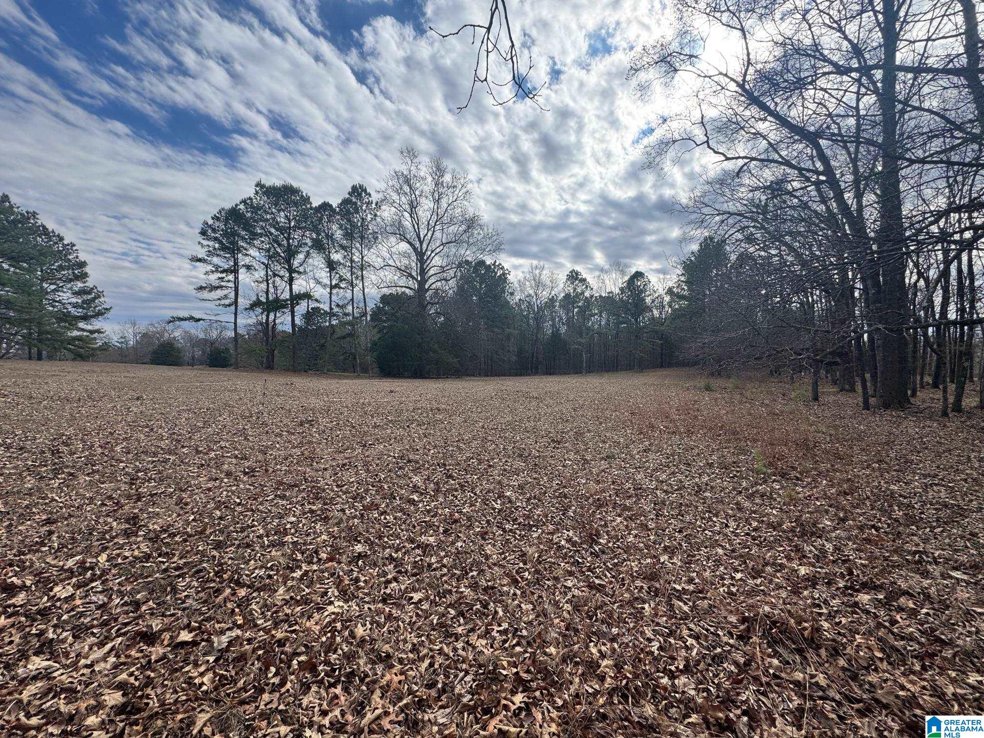 3953 Logan Martin Dam Road Cropwell, AL 35054 - Photo 74 of 99