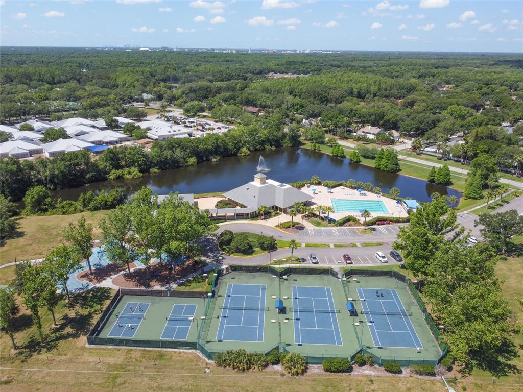 5100 Burchette Road, Unit 3207 Tampa, FL 33647 - Photo 57 of 62 Gallery Image 57
