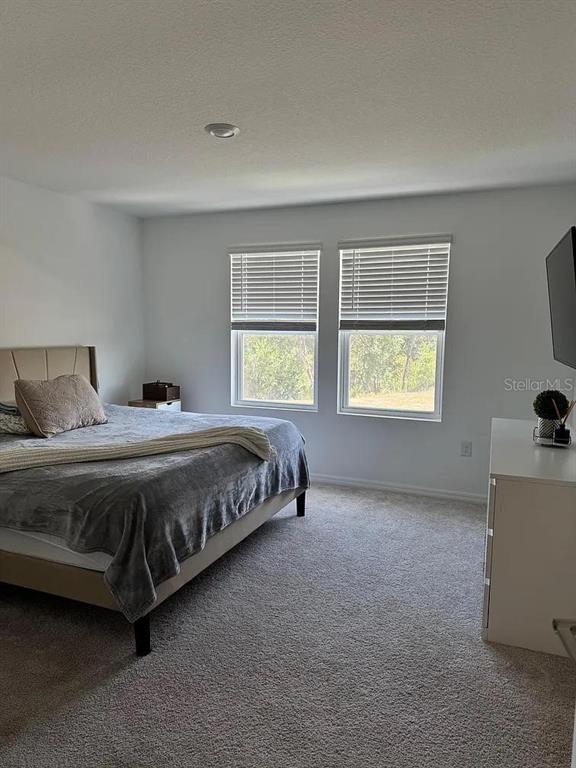 1572 Swan Swim Drive Davenport, FL 33837 - Photo 21 of 22