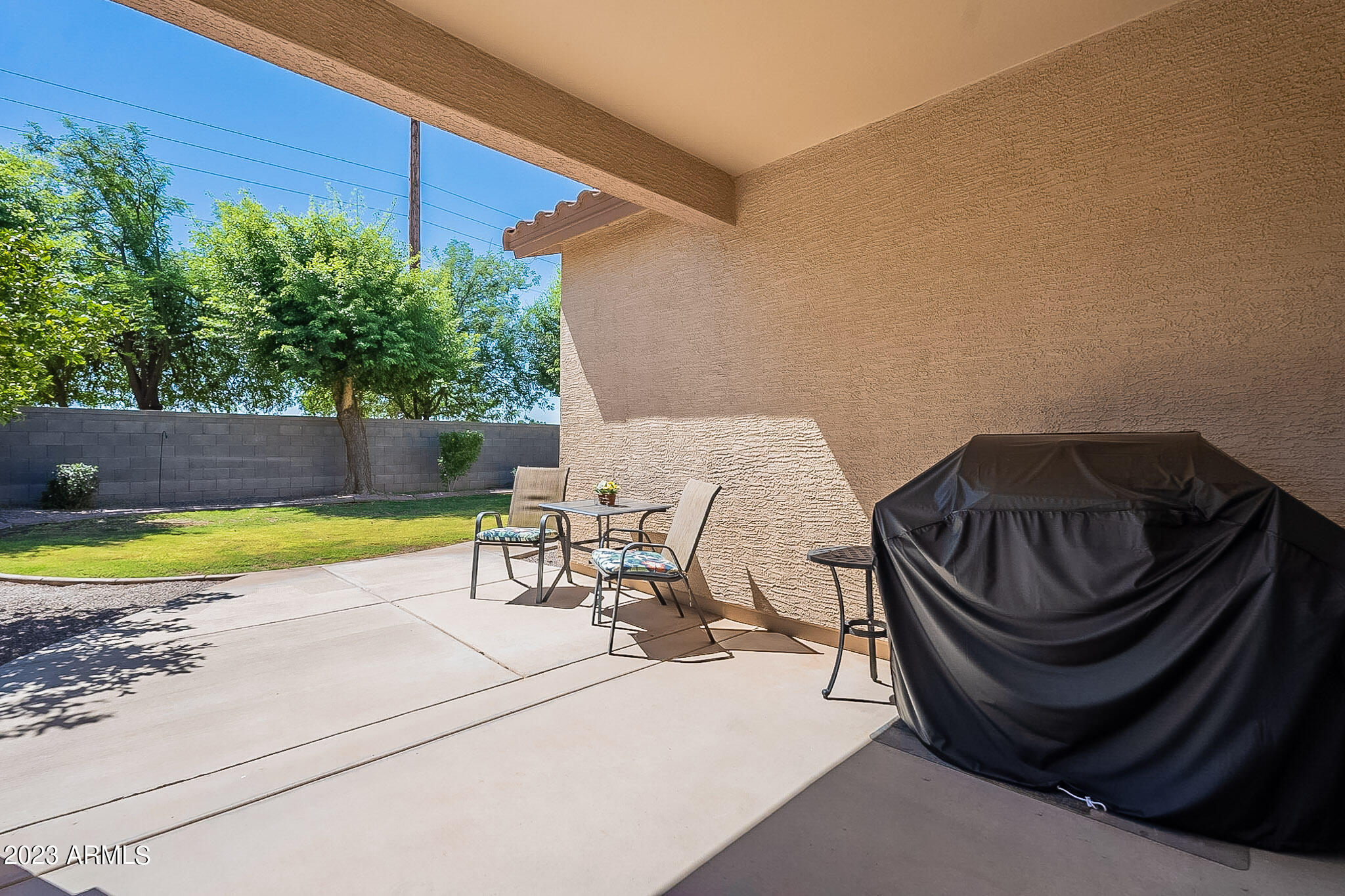 621 West Trellis Road San Tan Valley, AZ 85140 - Photo 39 of 54 Back patio