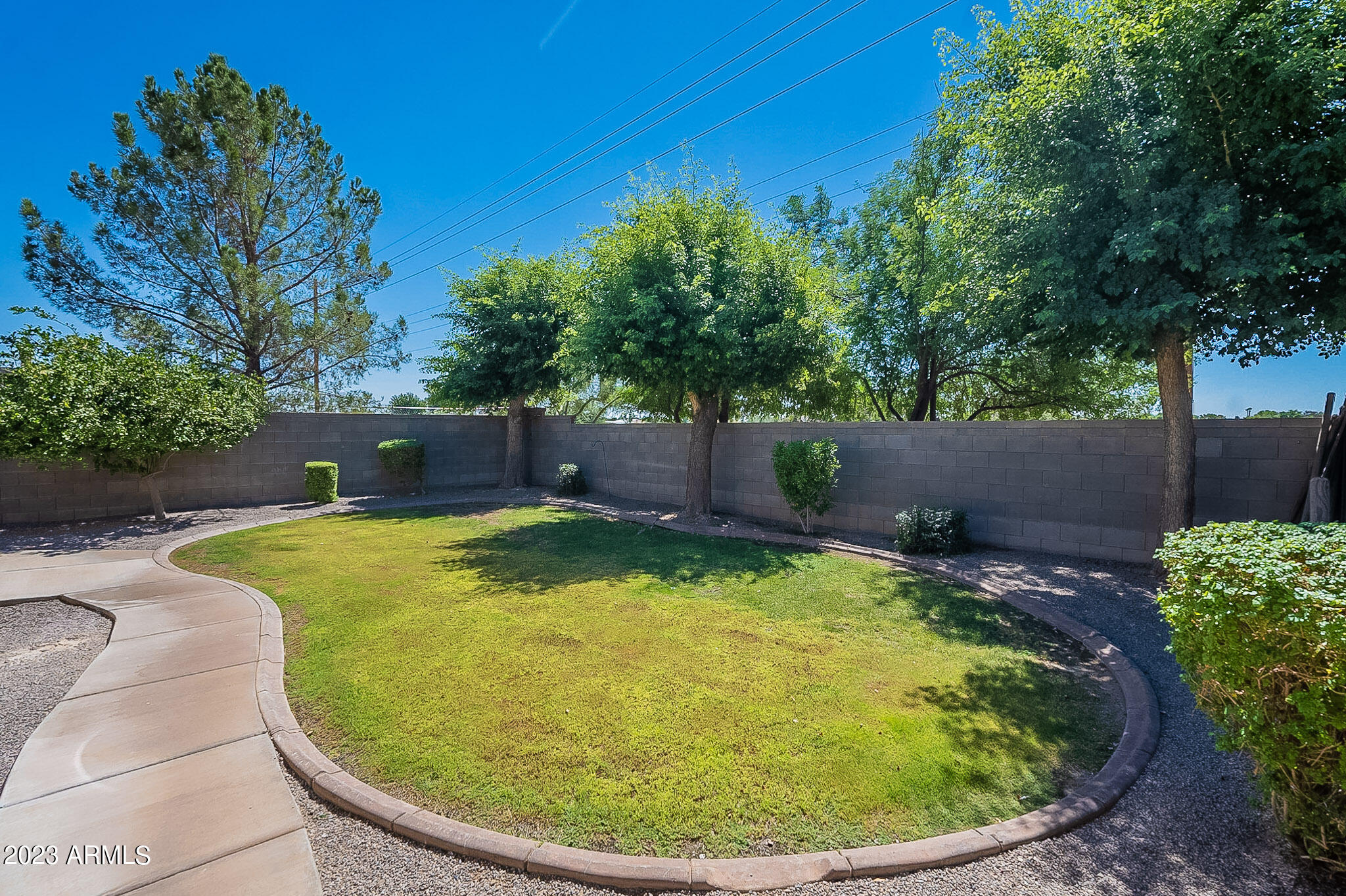 621 West Trellis Road San Tan Valley, AZ 85140 - Photo 42 of 54 Back Yard