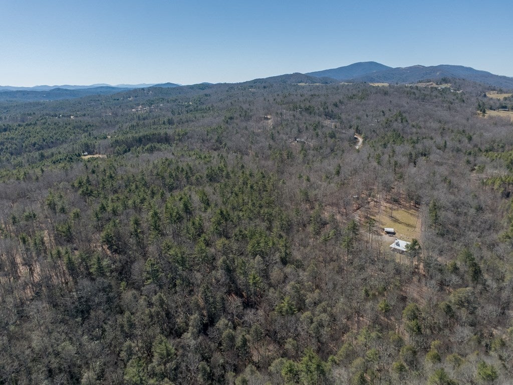 Lot 12 Ridge Line Trail, Unit 12 Independence, VA 24348 - Photo 38 of 66 Gallery Image 38