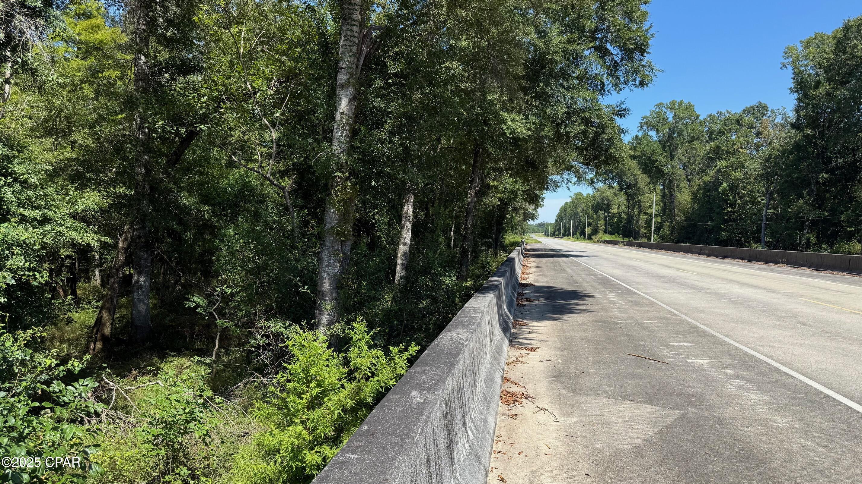 0 Douglas Ferry Road Bonifay, FL 32425 - Photo 3 of 4