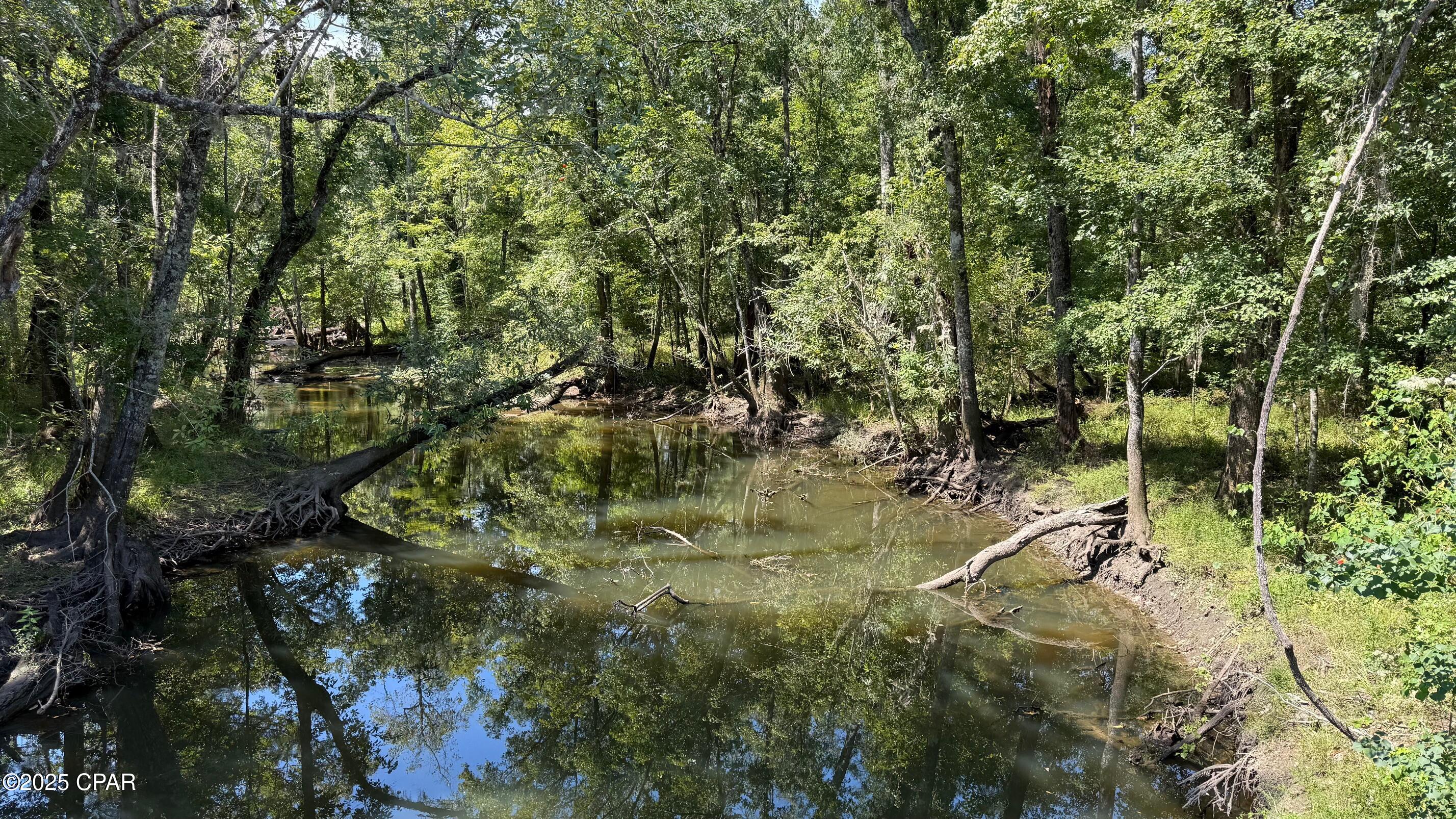 0 Douglas Ferry Road Bonifay, FL 32425 - Photo 4 of 4