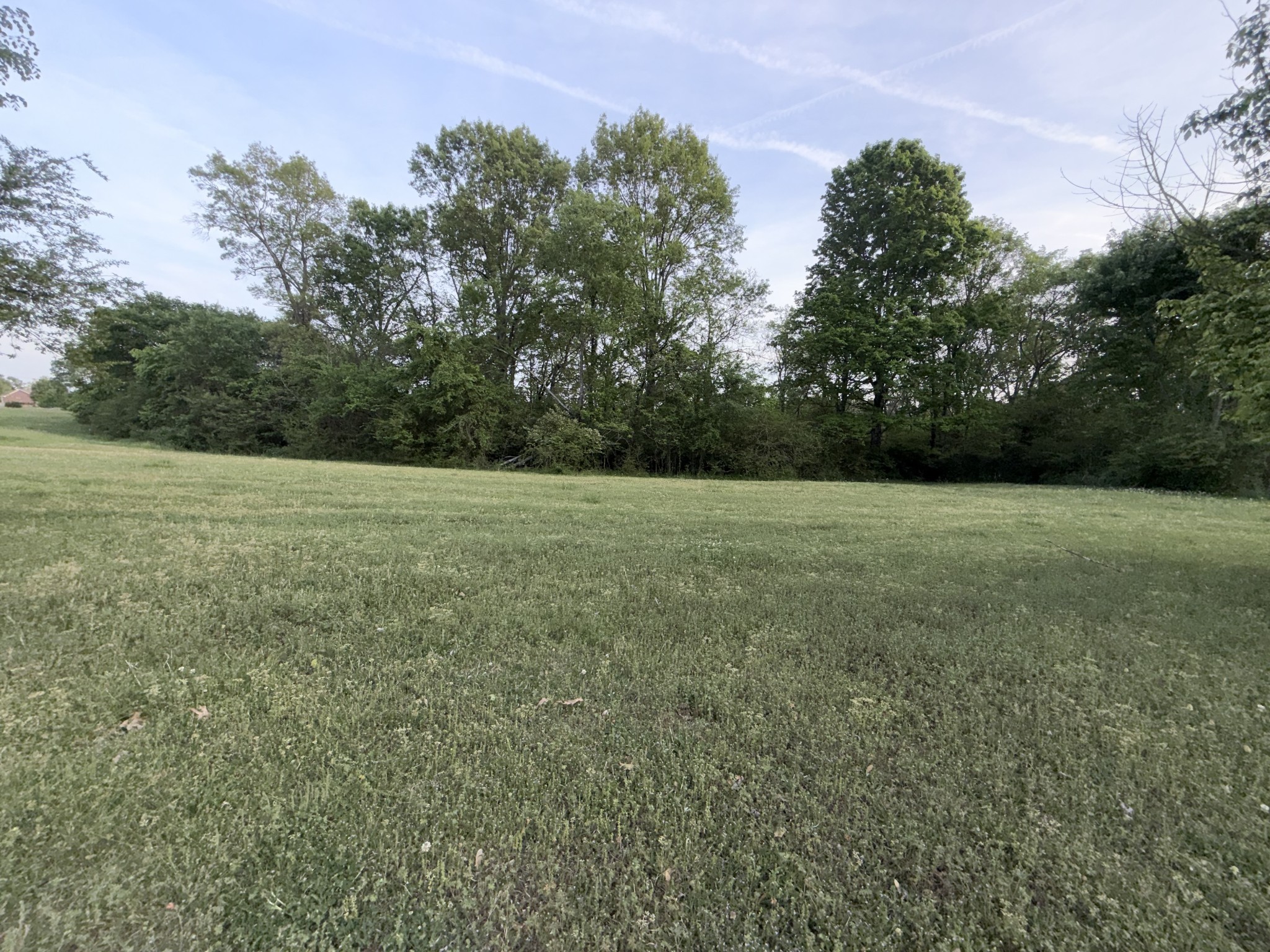 191 Cooks Rd Extension Lebanon, TN 37087 - Photo 23 of 33 a view of a field with trees in background