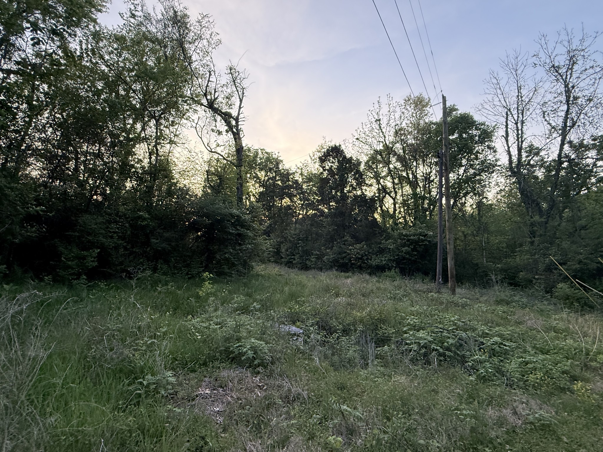 191 Cooks Rd Extension Lebanon, TN 37087 - Photo 27 of 33 a view of outdoor space and yard