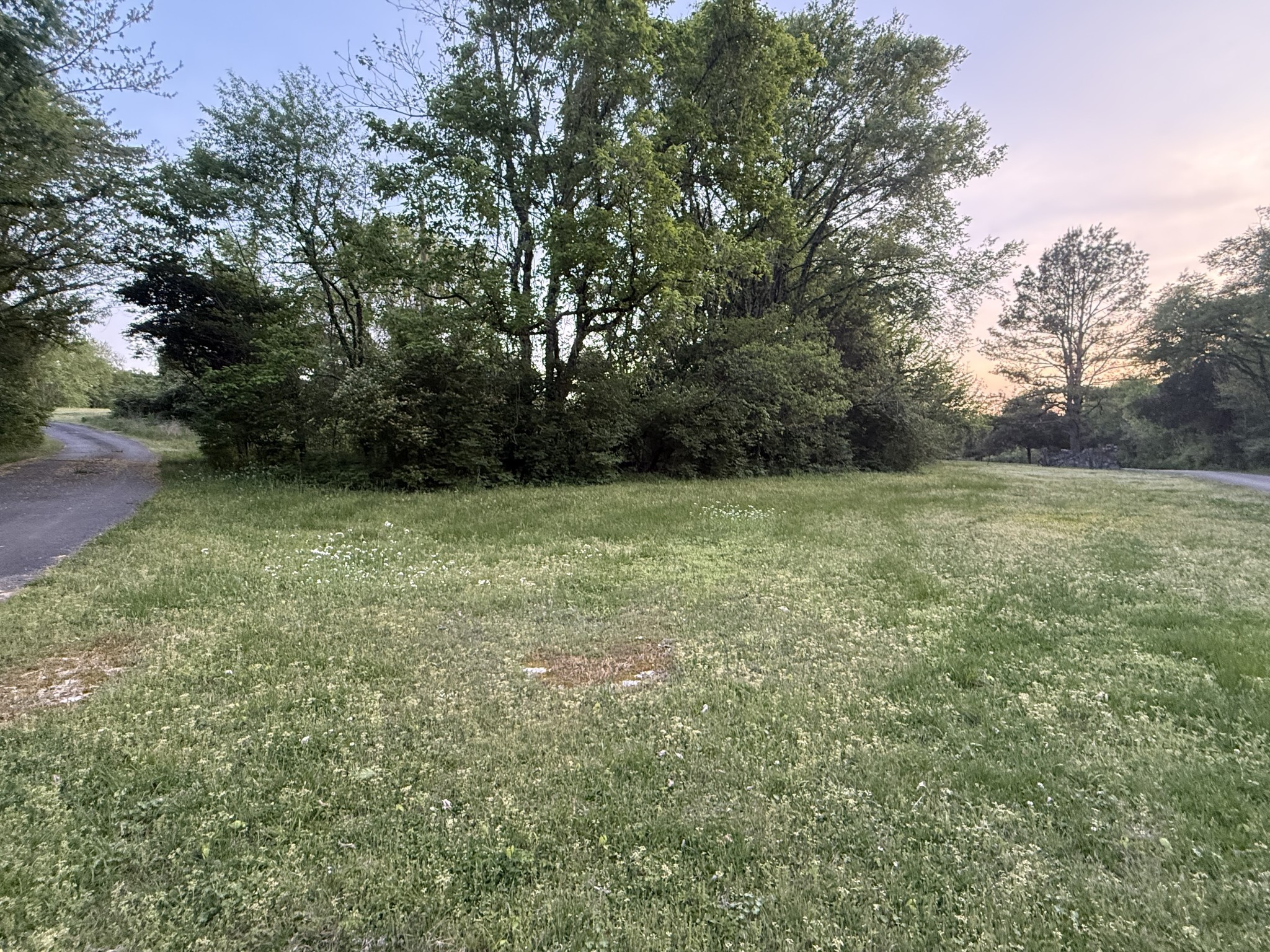 191 Cooks Rd Extension Lebanon, TN 37087 - Photo 29 of 33 a view of a green field with trees