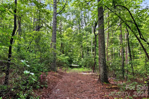 a view of outdoor space and trees