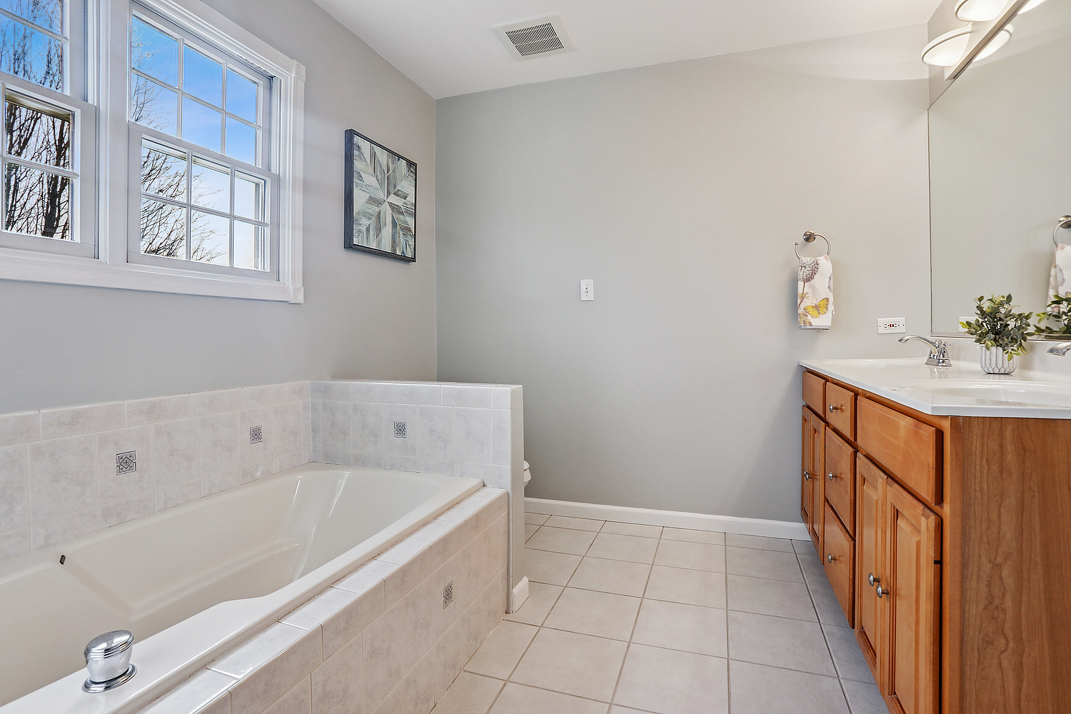 385 Coventry Lane Crete, IL 60417 - Photo 13 of 24 a bathroom with a bathtub sink and mirror