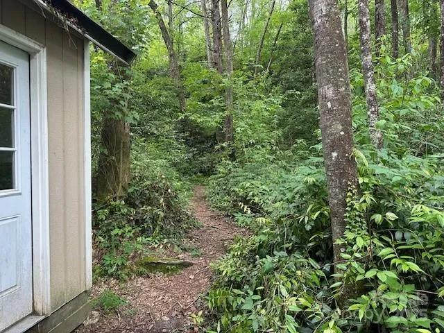 a view of a garden with plants