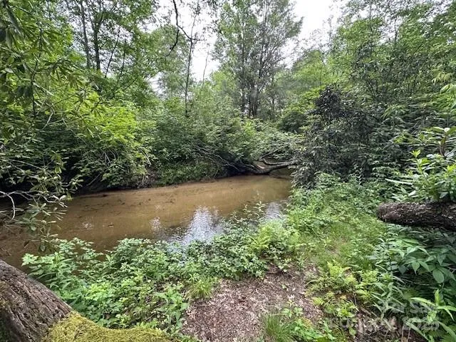 a view of lake with green space