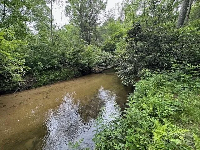 a view of a lake with a tree