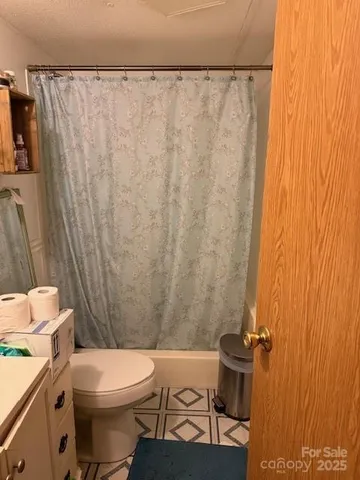a white toilet sitting next to a shower curtain