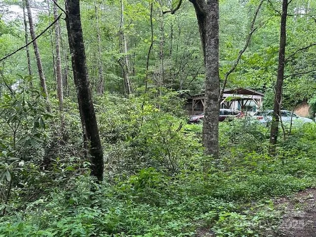 a view of a city with lush green forest