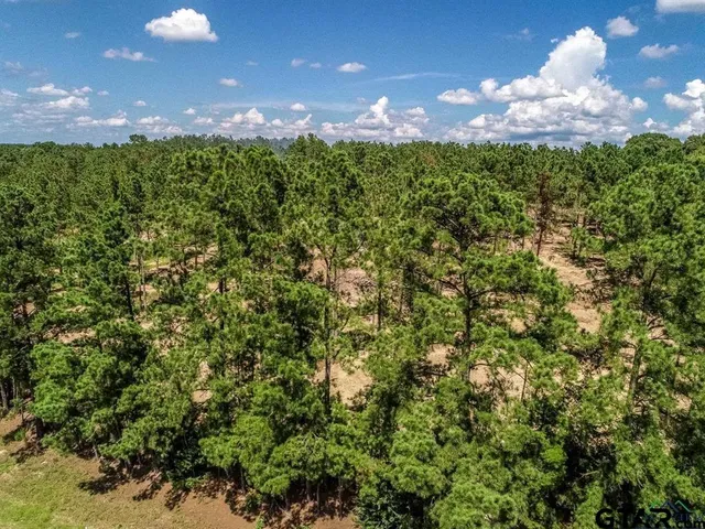 $399,500 | 1968 St Harleton Tx 75651, Harleton, TX 75651