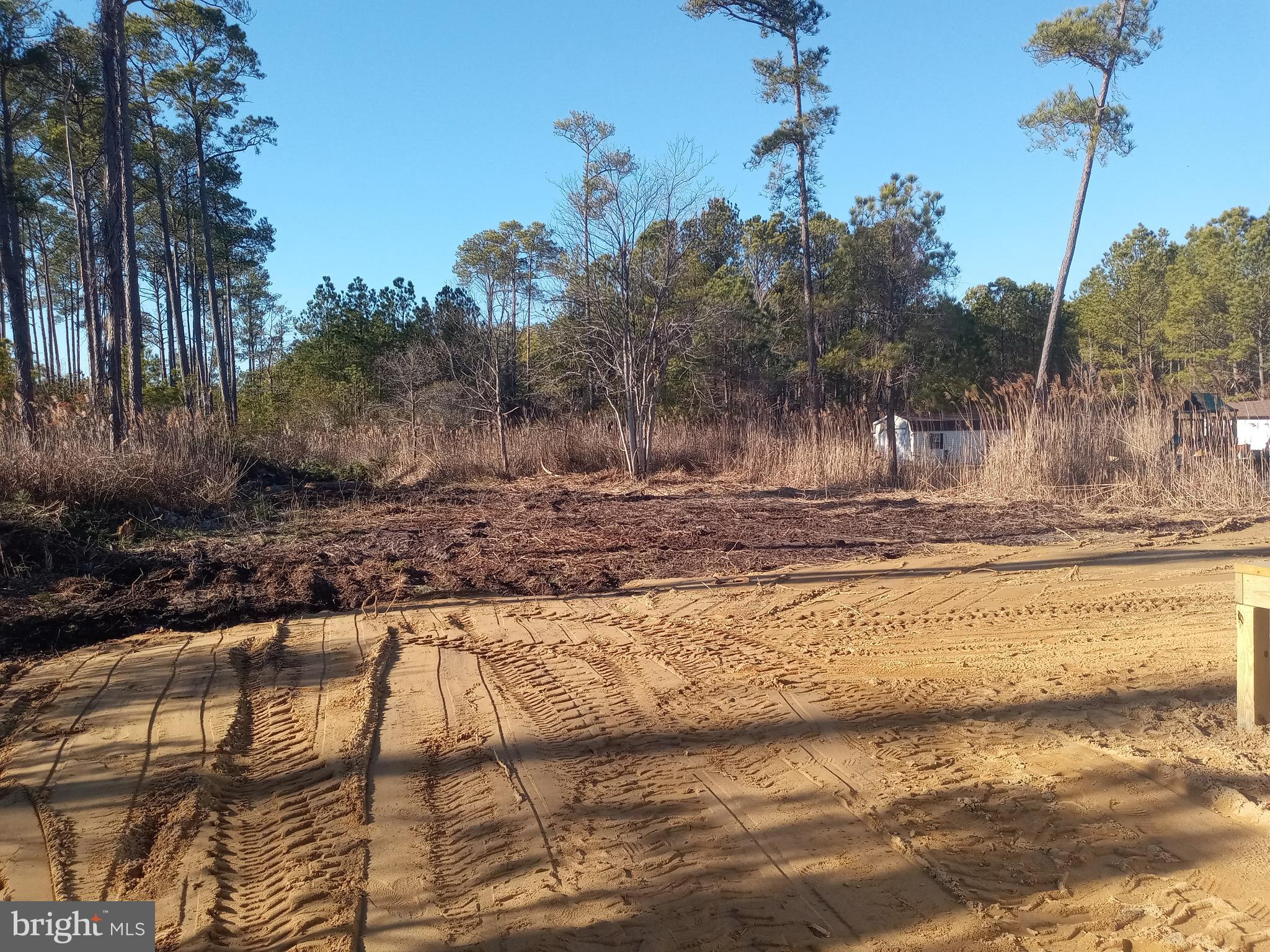 2990 Byrdtown Road Crisfield, MD 21817 - Photo 8 of 8 a view of a yard with a house
