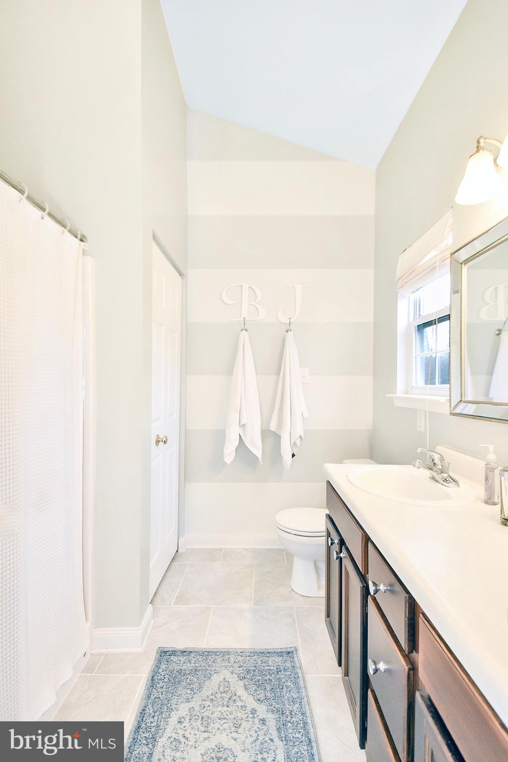 102 Peregrine Lane Hummelstown, PA 17036 - Photo 11 of 28 a bathroom with a sink a toilet and a bathtub