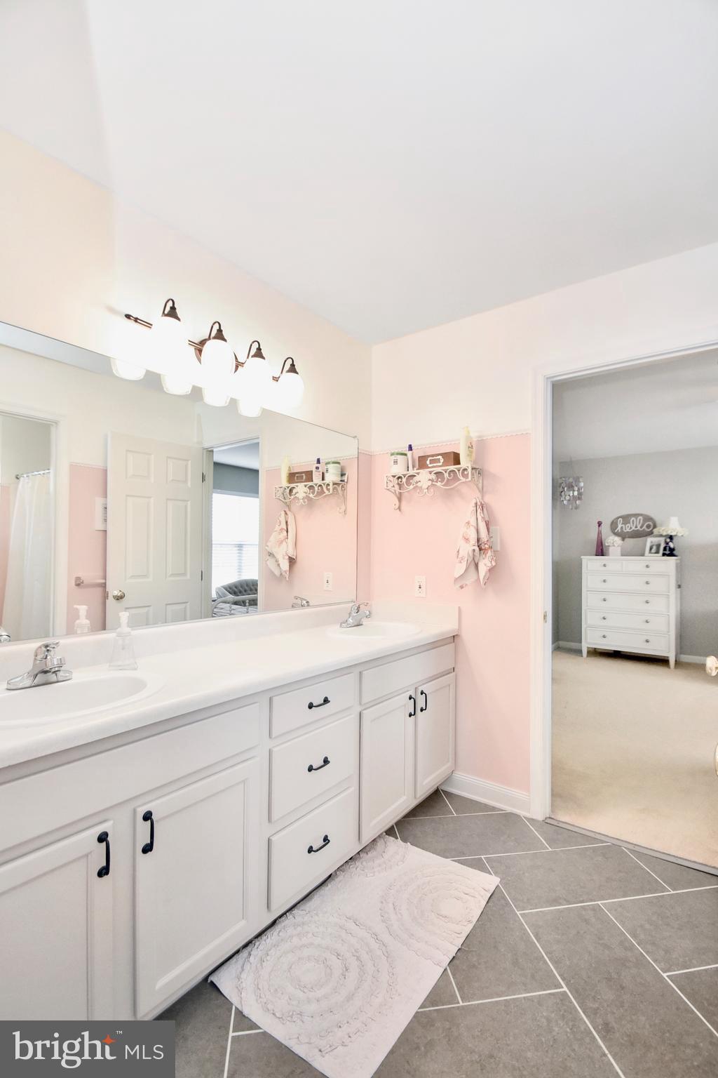 102 Peregrine Lane Hummelstown, PA 17036 - Photo 19 of 28 a spacious bathroom with double vanity sink a mirror and a bathtub