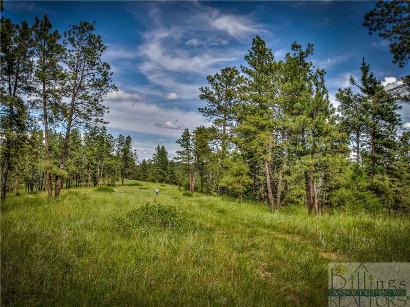 135 Wilson Road Roundup, MT 59072 - Photo 1 of 1 Gallery Image 1