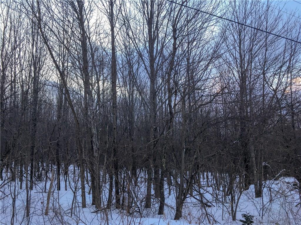 Map 2-lot Map 2-lot Dahlia Farm Road Monroe, ME 04951 - Photo 7 of 10 Another view of the 11 acre wooded...