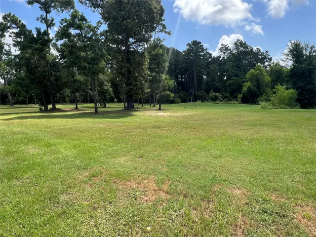 a view of a field with trees in the background