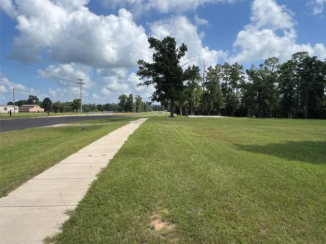 a view of a big yard with a large trees