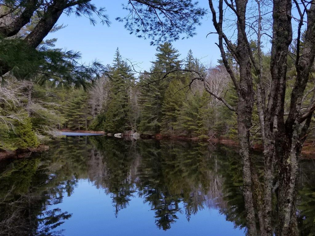 469 Guzzle Road Gouldsboro, ME 04607 - Photo 19 of 22 Reflect on the beauty.