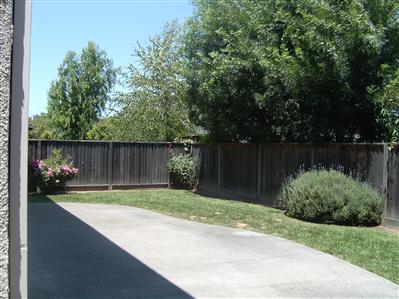 10 Wild Rye Way Napa, CA 94558 - Photo 2 of 8 a view of garden with wooden fence