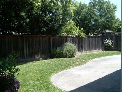 10 Wild Rye Way Napa, CA 94558 - Photo 3 of 8 a view of backyard with plants and trees