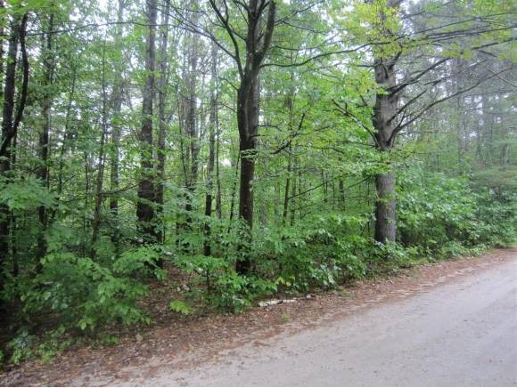 Lot #3 McManus Road Wolfeboro, NH 03894 - Photo 1 of 14 Gallery Image 1