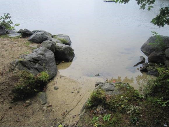 Lot #3 McManus Road Wolfeboro, NH 03894 - Photo 3 of 14 Gallery Image 3