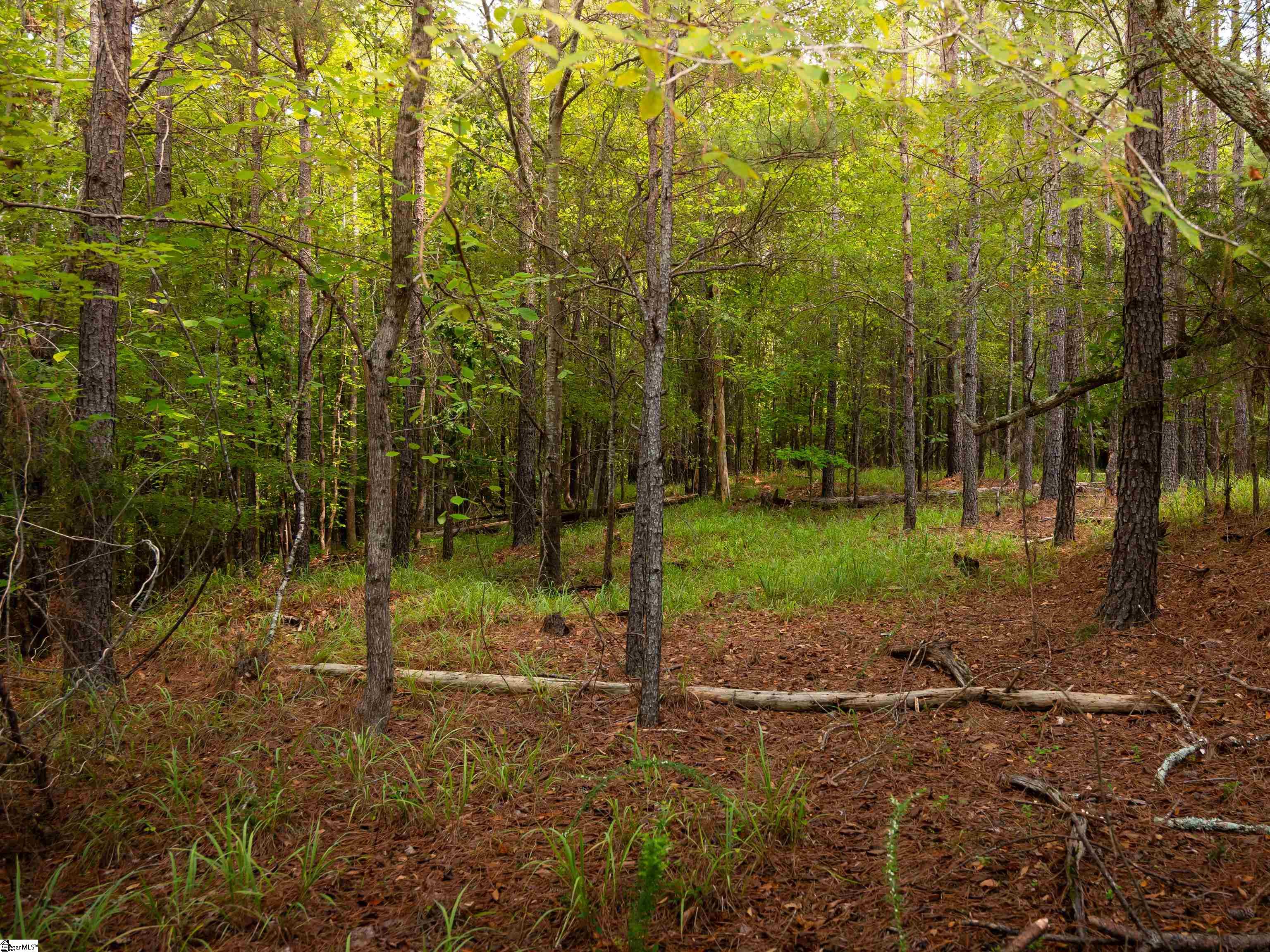3 Neal Shoals Road Union, SC 29379 - Photo 13 of 48