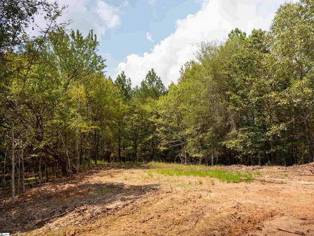 $55,000 | 3 Neal Shoals Road, Union, SC 29379