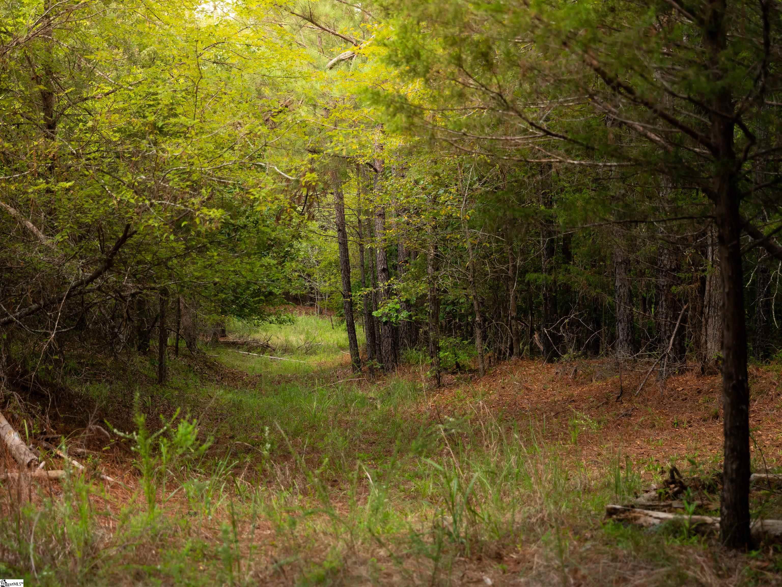 3 Neal Shoals Road Union, SC 29379 - Photo 10 of 48