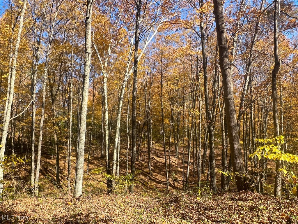 0 Roberts Road Amesville, OH 45711 - Photo 12 of 39 View of nature
