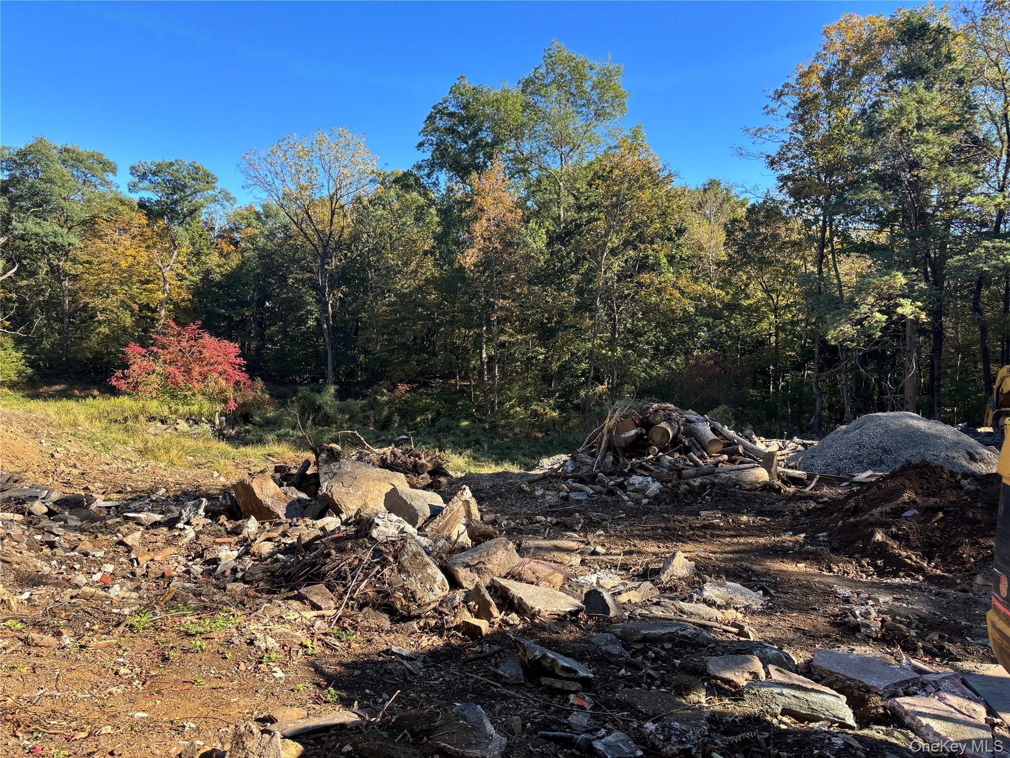 65 Buckout Road West Harrison, NY 10604 - Photo 2 of 11 a view of a tree with a yard